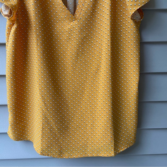 Gently Worn Hilary Radley Cool, Soft, Lightweight Short Sleeve Top w/Polkadots - Picture 4 of 16